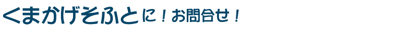 ���⍇��